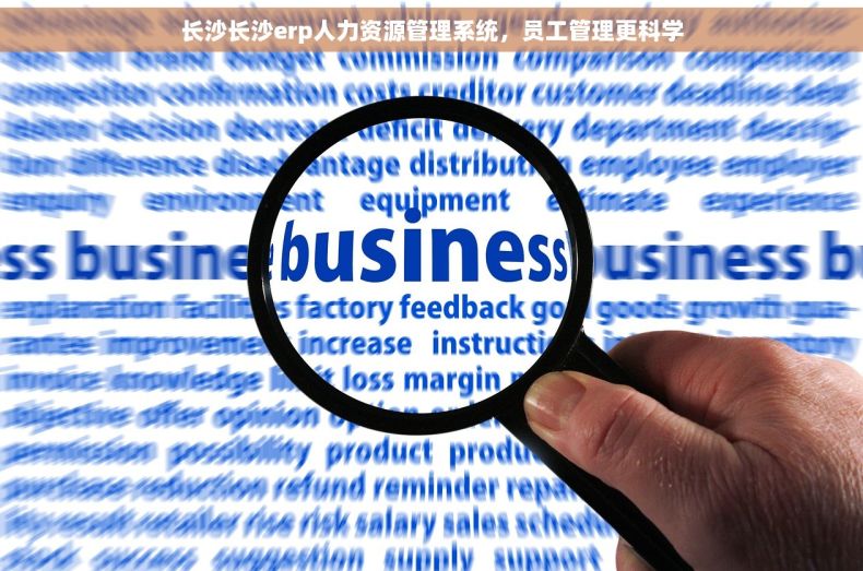 长沙长沙erp人力资源管理系统，员工管理更科学