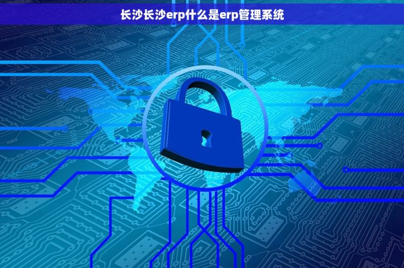 长沙长沙erp什么是erp管理系统