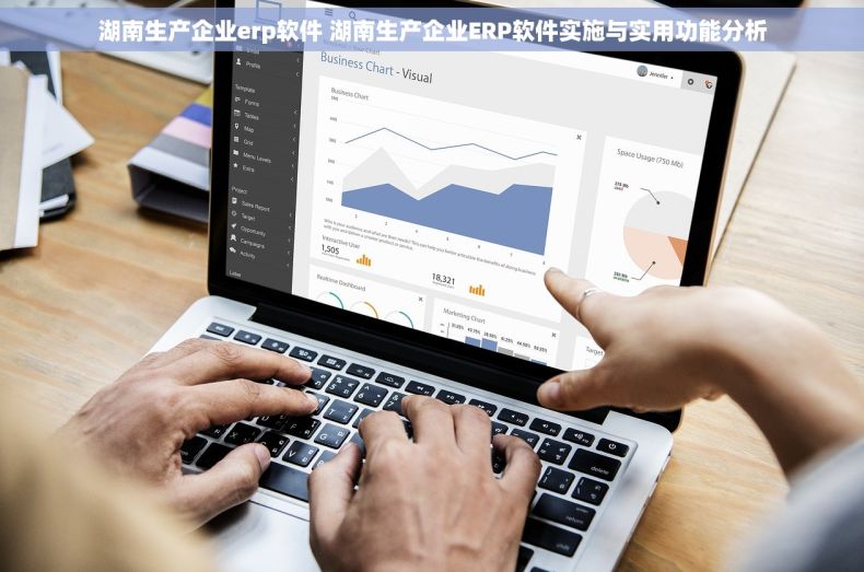 湖南生产企业erp软件 湖南生产企业ERP软件实施与实用功能分析