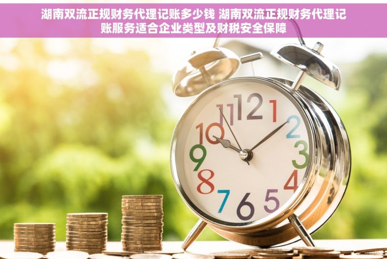 湖南双流正规财务代理记账多少钱 湖南双流正规财务代理记账服务适合企业类型及财税安全保障