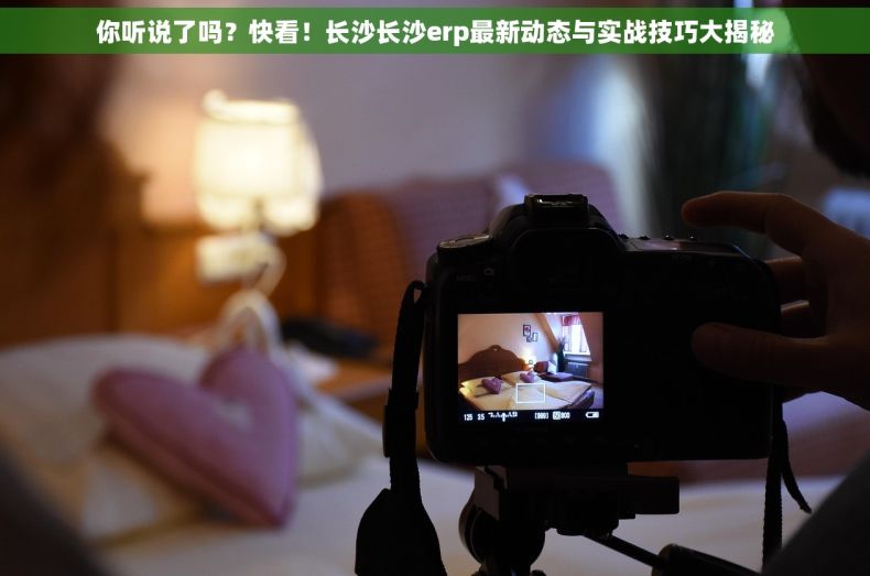 你听说了吗？快看！长沙长沙erp最新动态与实战技巧大揭秘