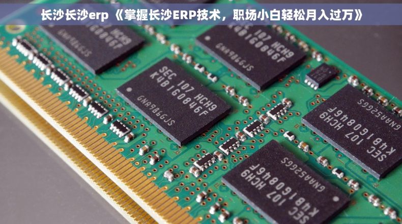 长沙长沙erp 《掌握长沙ERP技术，职场小白轻松月入过万》