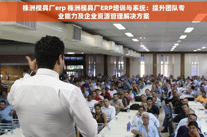 株洲模具厂erp 株洲模具厂ERP培训与系统：提升团队专业能力及企业资源管理解决方案