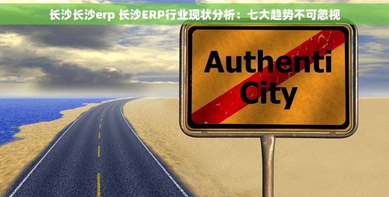 长沙长沙erp 长沙ERP行业现状分析：七大趋势不可忽视