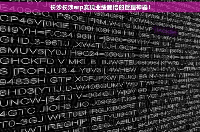 长沙长沙erp实现业绩翻倍的管理神器！