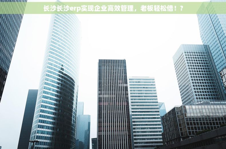 长沙长沙erp实现企业高效管理，老板轻松倍！?