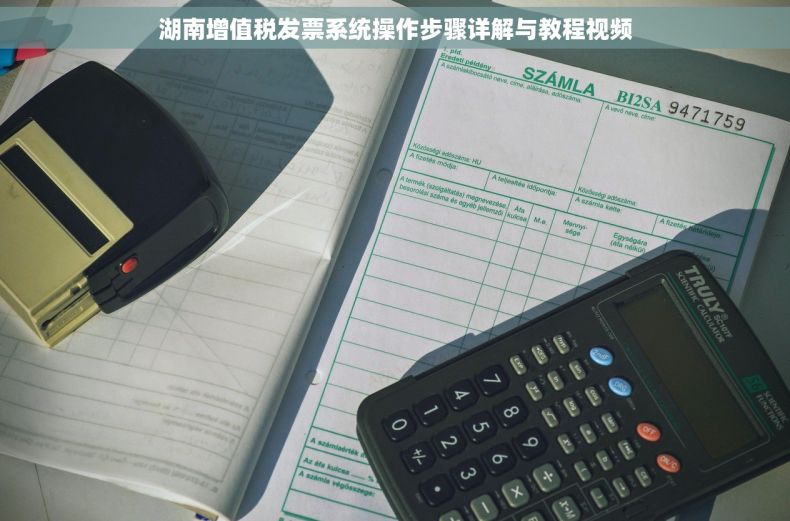 湖南增值税发票系统操作步骤详解与教程视频