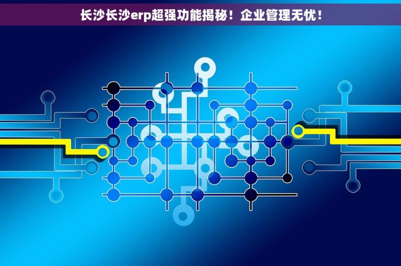 长沙长沙erp超强功能揭秘！企业管理无忧！