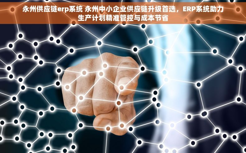 永州供应链erp系统 永州中小企业供应链升级首选，ERP系统助力生产计划精准管控与成本节省