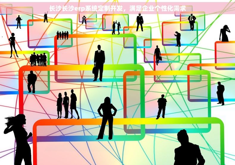 长沙长沙erp系统定制开发，满足企业个性化需求