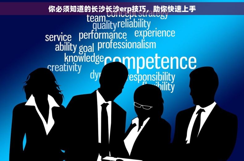 你必须知道的长沙长沙erp技巧，助你快速上手
