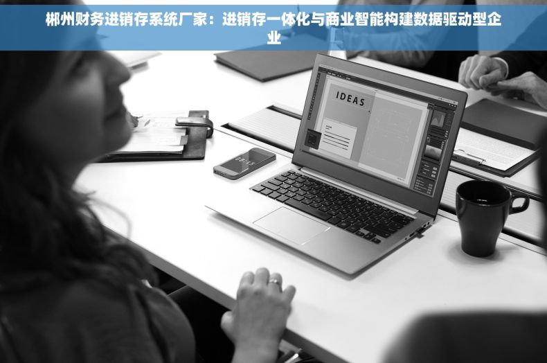 郴州财务进销存系统厂家：进销存一体化与商业智能构建数据驱动型企业