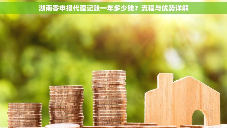 湖南零申报代理记账一年多少钱？流程与优势详解