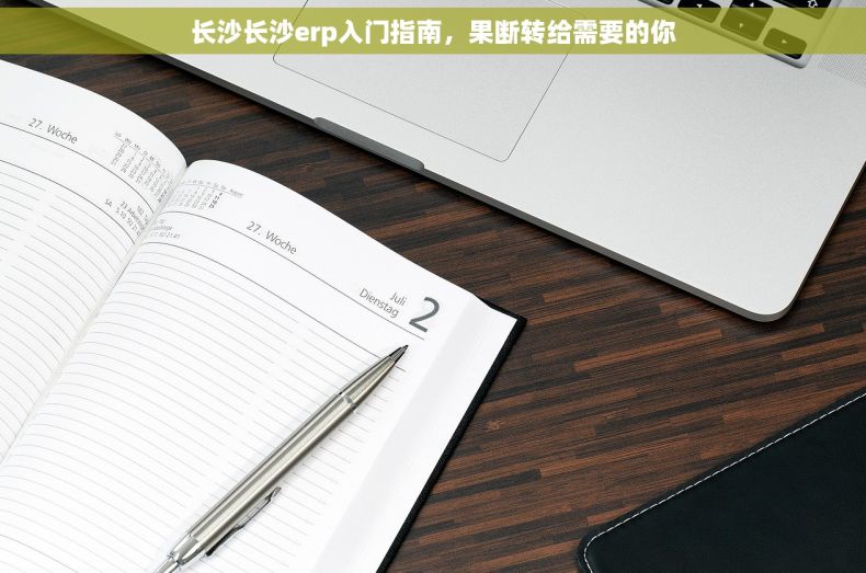 长沙长沙erp入门指南，果断转给需要的你