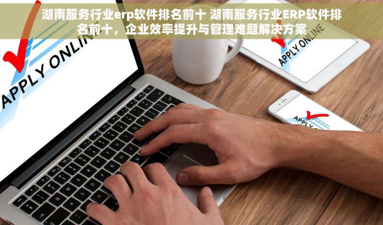 湖南服务行业erp软件排名前十 湖南服务行业ERP软件排名前十，企业效率提升与管理难题解决方案