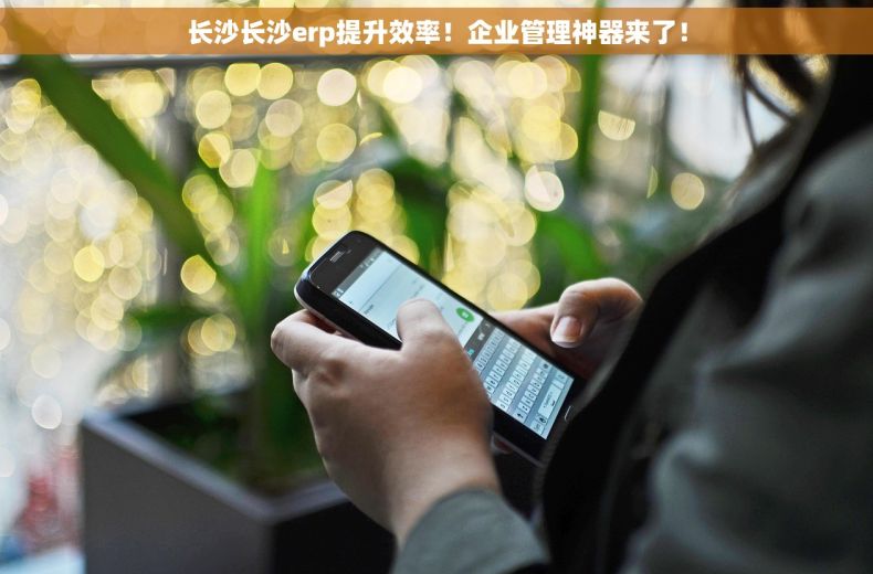 长沙长沙erp提升效率！企业管理神器来了！