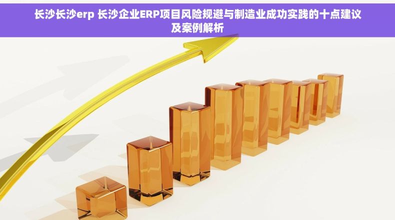 长沙长沙erp 长沙企业ERP项目风险规避与制造业成功实践的十点建议及案例解析