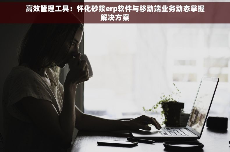 高效管理工具：怀化砂浆erp软件与移动端业务动态掌握解决方案