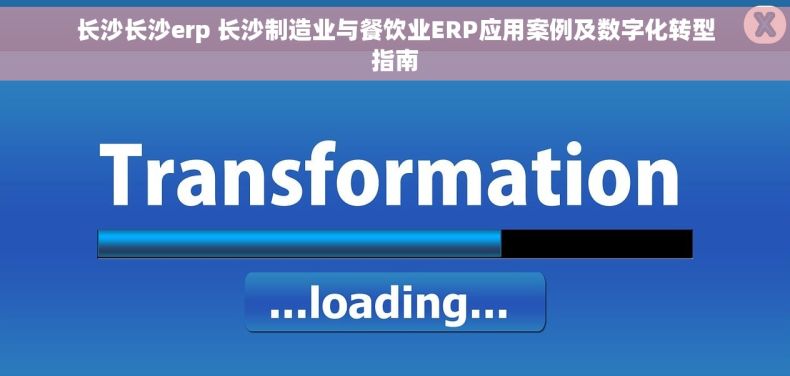 长沙长沙erp 长沙制造业与餐饮业ERP应用案例及数字化转型指南