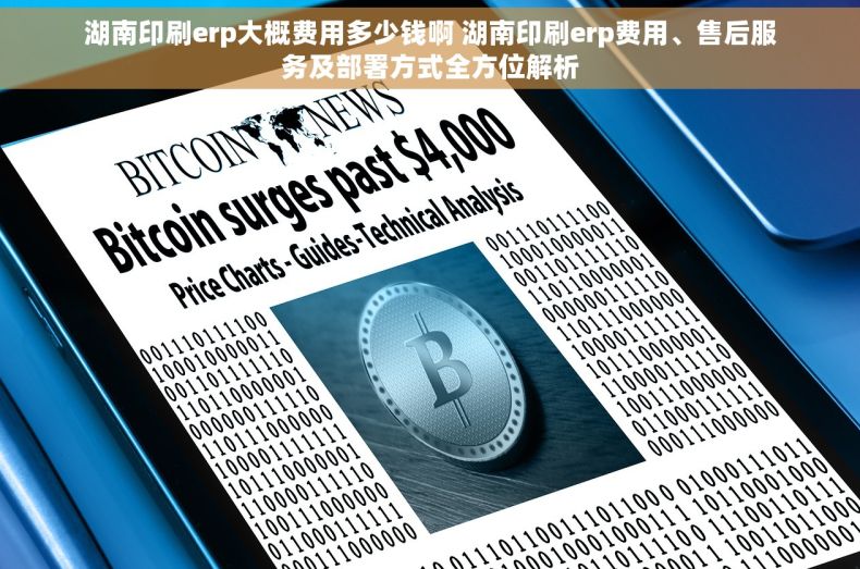 湖南印刷erp大概费用多少钱啊 湖南印刷erp费用、售后服务及部署方式全方位解析