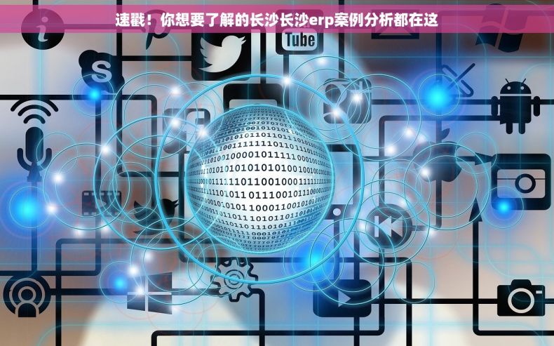 速戳！你想要了解的长沙长沙erp案例分析都在这