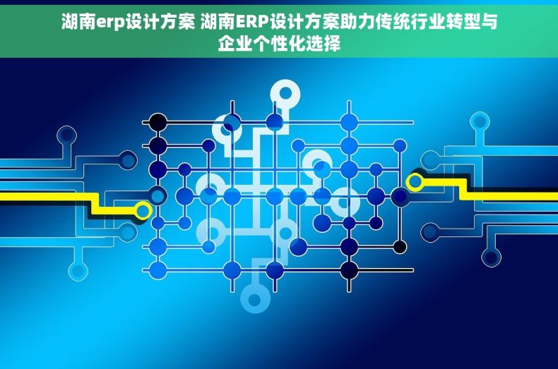 湖南erp设计方案 湖南ERP设计方案助力传统行业转型与企业个性化选择