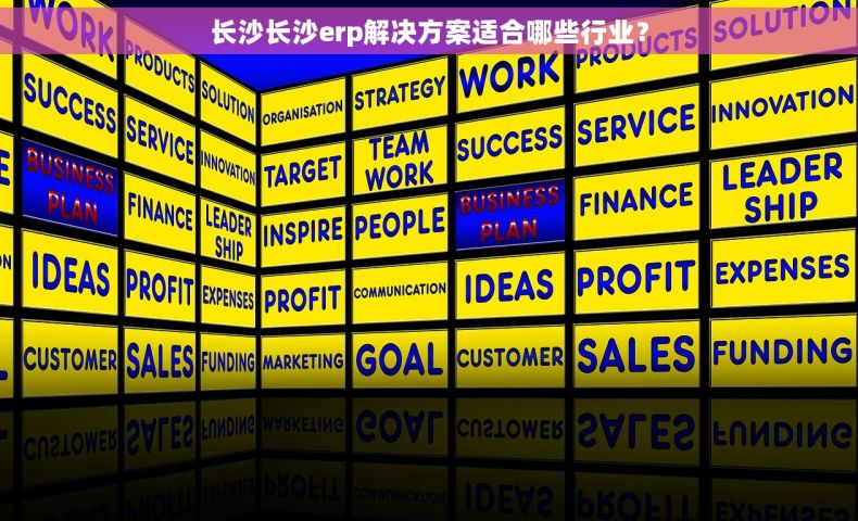 长沙长沙erp解决方案适合哪些行业？