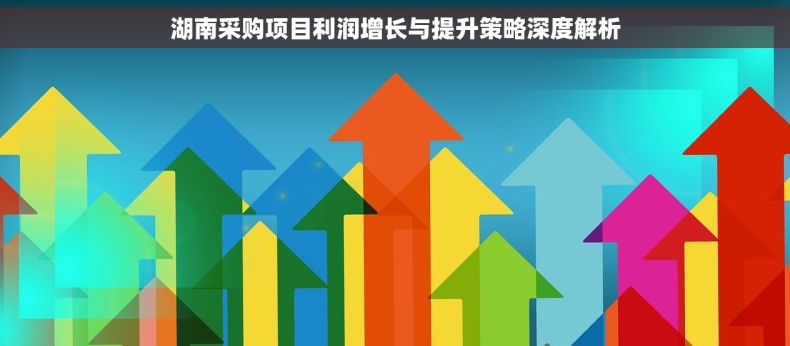湖南采购项目利润增长与提升策略深度解析