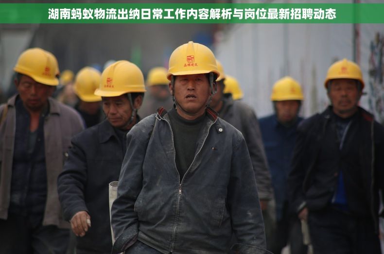 湖南蚂蚁物流出纳日常工作内容解析与岗位最新招聘动态
