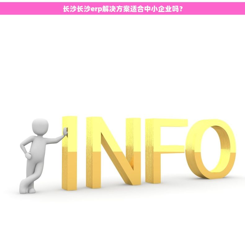 长沙长沙erp解决方案适合中小企业吗？