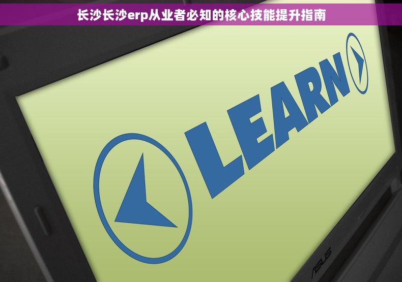 长沙长沙erp从业者必知的核心技能提升指南