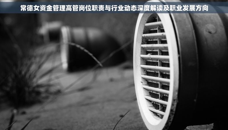 常德女资金管理高管岗位职责与行业动态深度解读及职业发展方向