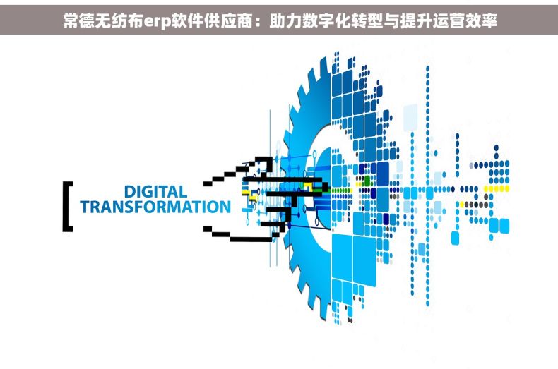 常德无纺布erp软件供应商：助力数字化转型与提升运营效率