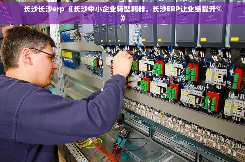 长沙长沙erp 《长沙中小企业转型利器，长沙ERP让业绩提升%》