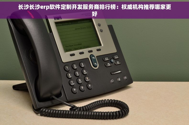 长沙长沙erp软件定制开发服务商排行榜：权威机构推荐哪家更好