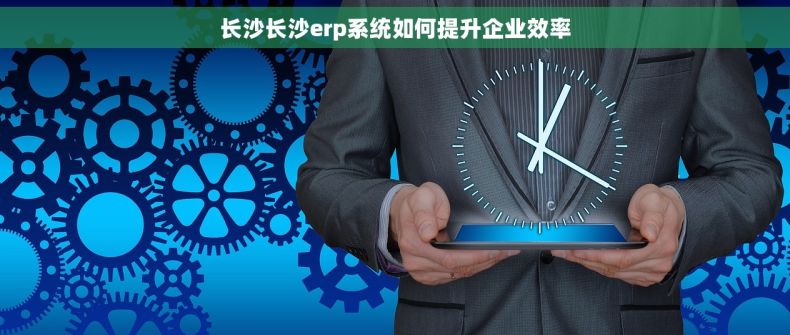 长沙长沙erp系统如何提升企业效率