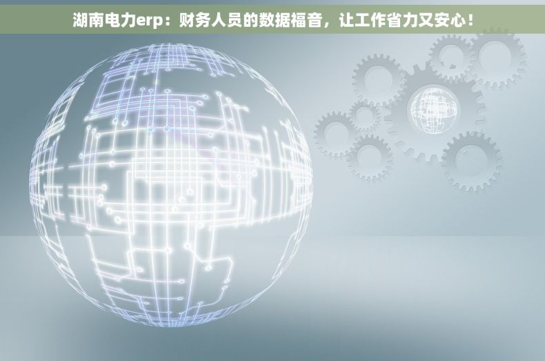 湖南电力erp：财务人员的数据福音，让工作省力又安心！