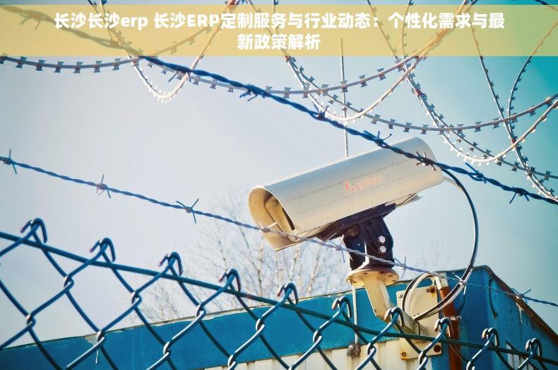 长沙长沙erp 长沙ERP定制服务与行业动态：个性化需求与最新政策解析