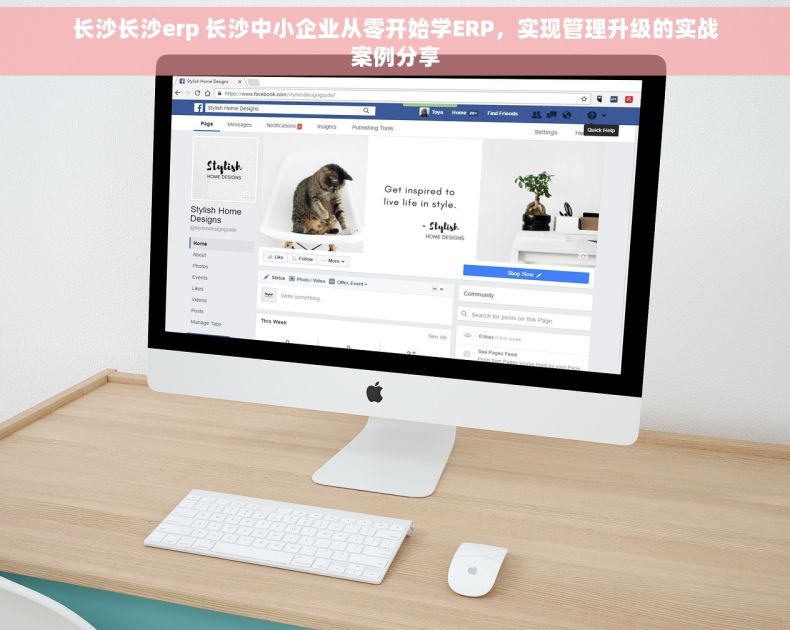 长沙长沙erp 长沙中小企业从零开始学ERP，实现管理升级的实战案例分享