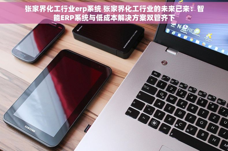 张家界化工行业erp系统 张家界化工行业的未来已来：智能ERP系统与低成本解决方案双管齐下