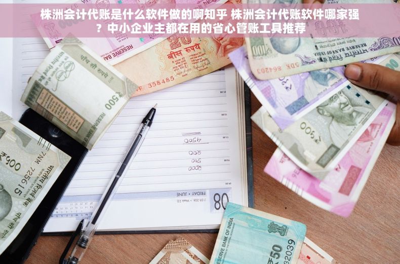 株洲会计代账是什么软件做的啊知乎 株洲会计代账软件哪家强？中小企业主都在用的省心管账工具推荐