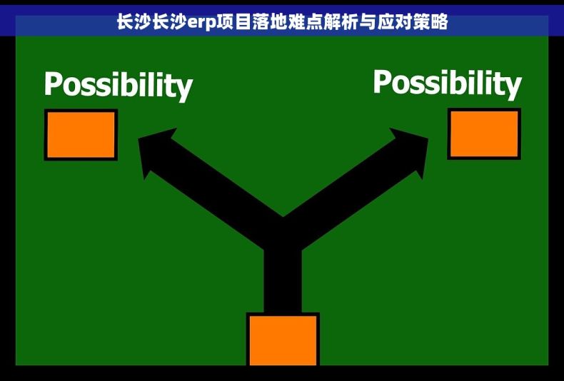 长沙长沙erp项目落地难点解析与应对策略