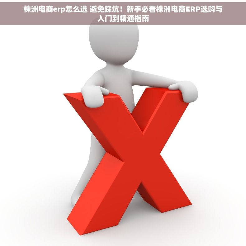 株洲电商erp怎么选 避免踩坑！新手必看株洲电商ERP选购与入门到精通指南