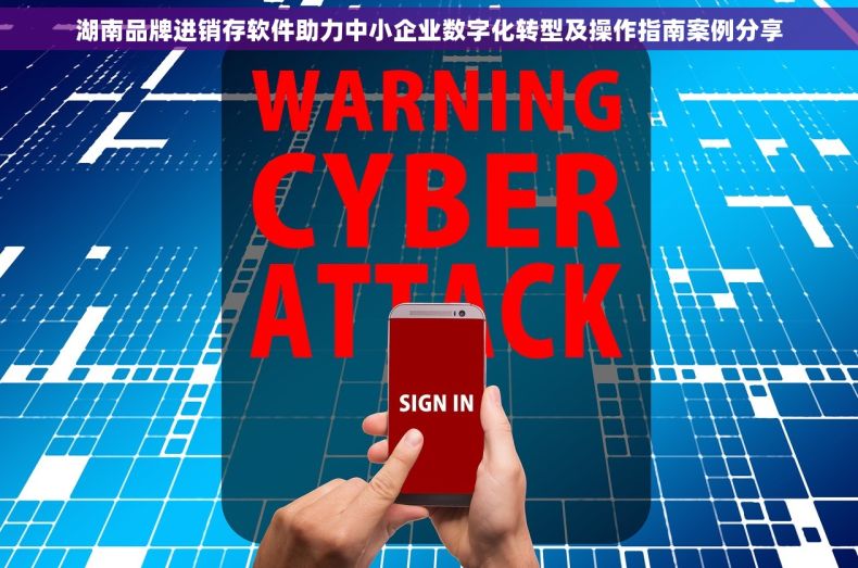 湖南品牌进销存软件助力中小企业数字化转型及操作指南案例分享