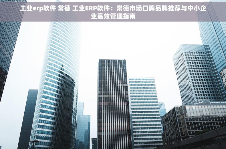 工业erp软件 常德 工业ERP软件：常德市场口碑品牌推荐与中小企业高效管理指南
