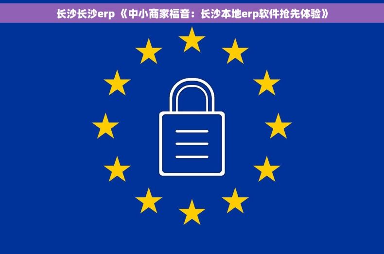 长沙长沙erp 《中小商家福音：长沙本地erp软件抢先体验》