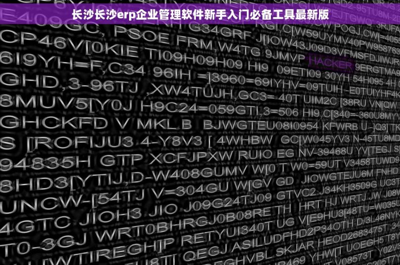 长沙长沙erp企业管理软件新手入门必备工具最新版