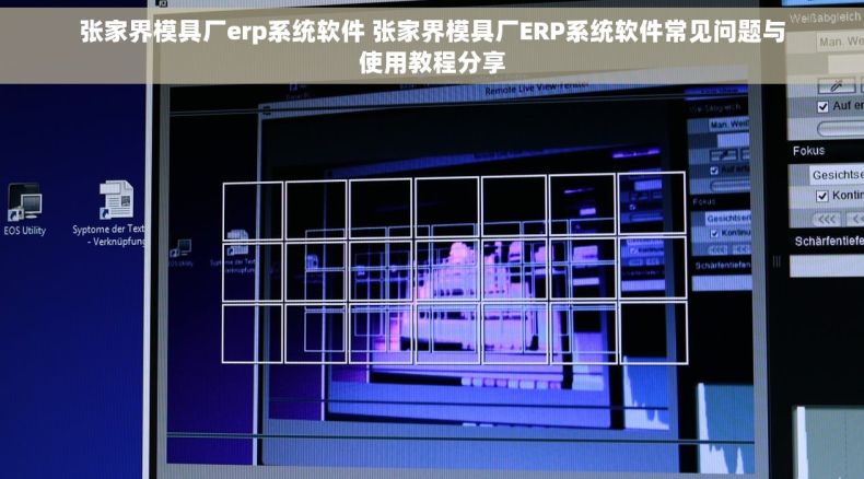 张家界模具厂erp系统软件 张家界模具厂ERP系统软件常见问题与使用教程分享