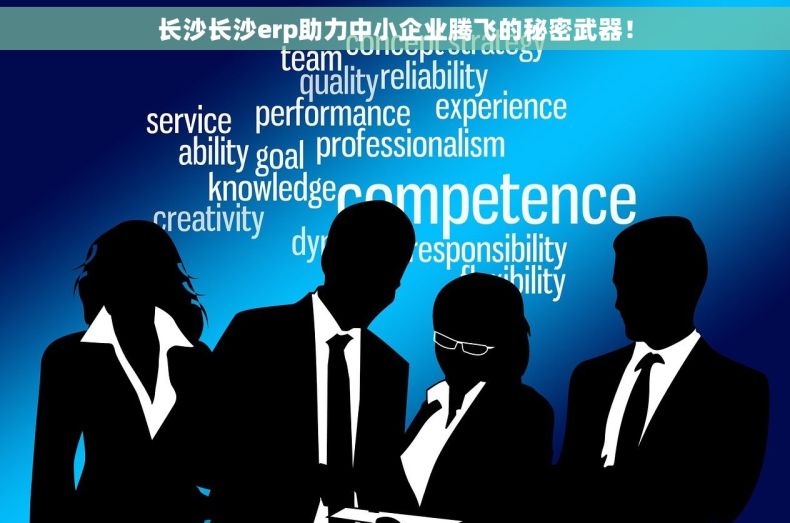 长沙长沙erp助力中小企业腾飞的秘密武器！
