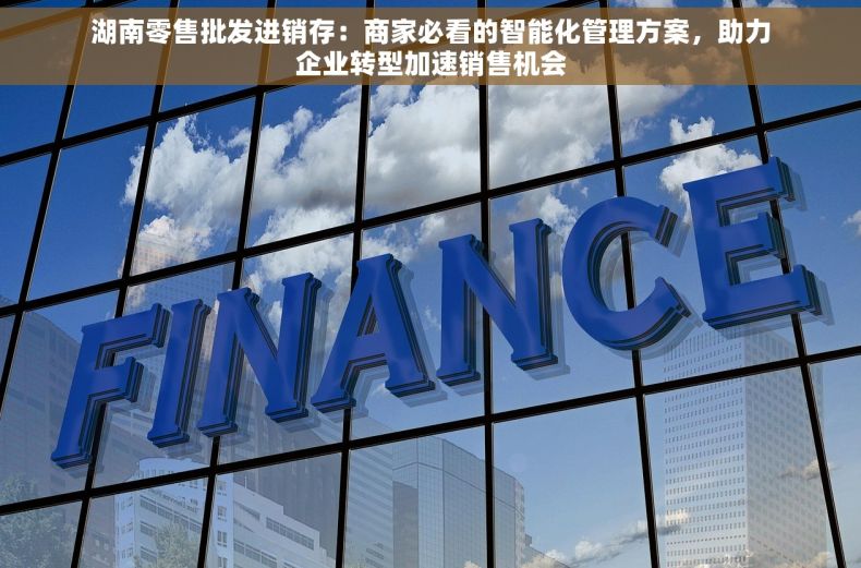 湖南零售批发进销存：商家必看的智能化管理方案，助力企业转型加速销售机会